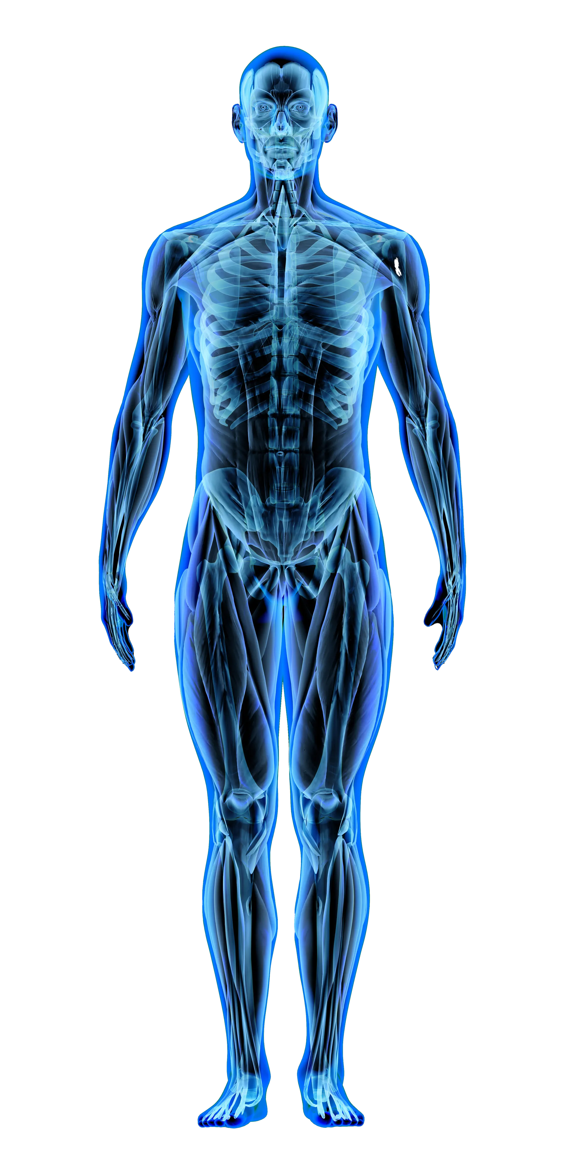 BioMolecular Signature Visualization