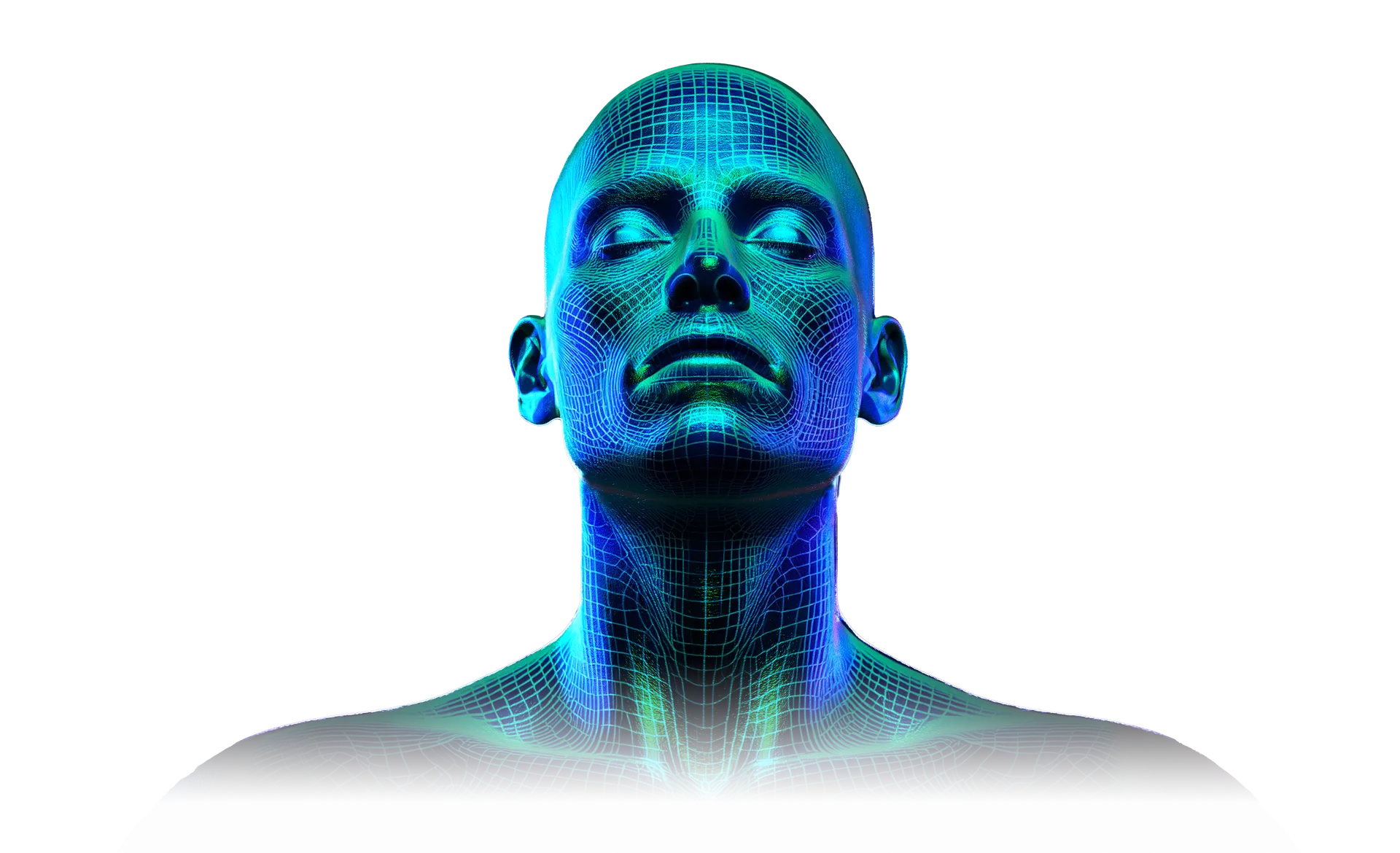 Digital Human Visualization