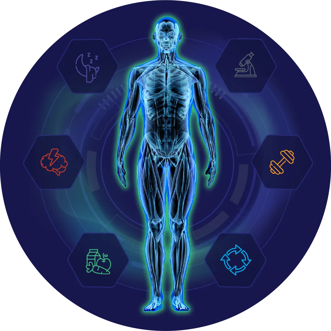 Arétē Body Overview